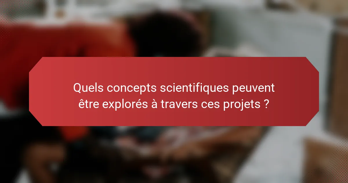 Quels concepts scientifiques peuvent être explorés à travers ces projets ?